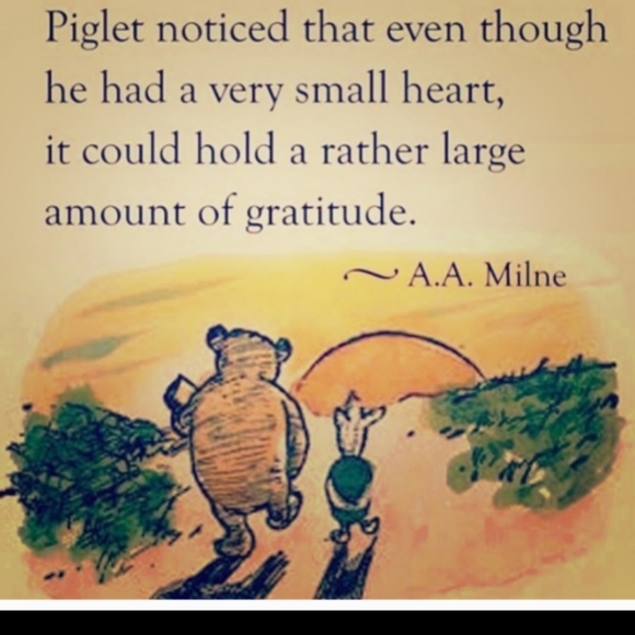 NWT  Hope BRACELET w/Sliding CLOSURE - Picture 8 of 16